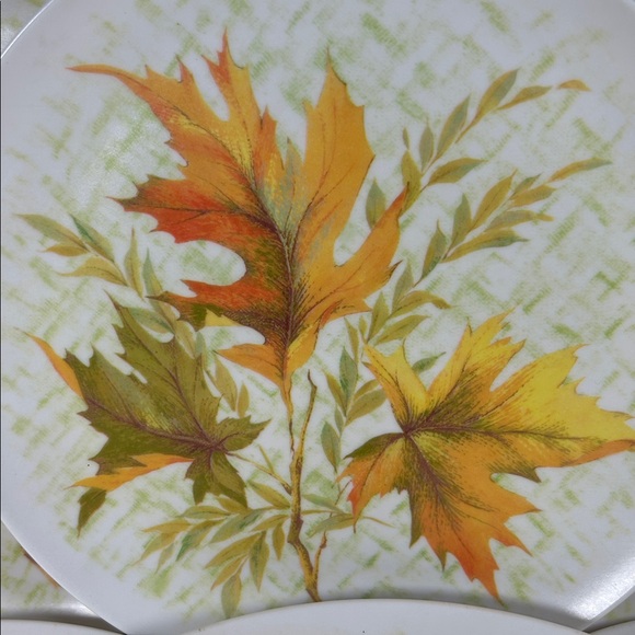 Autumn Leaf Dinner Plates - Set of 6 (White with Orange & Green) - Picture 3 of 9
